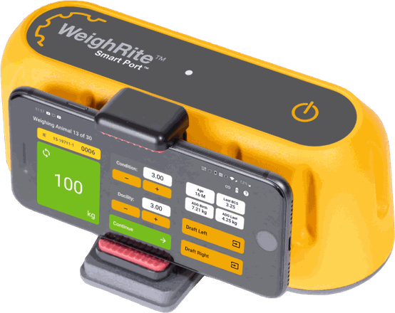 The WeighRite